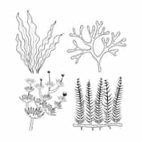 Kostenloser Vektor handgezeichnete algen-zeichnungsillustration