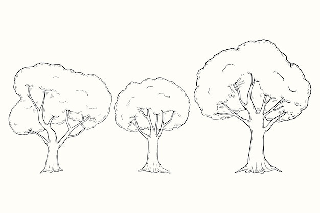 Handgezeichnete bäume umreißen illustration