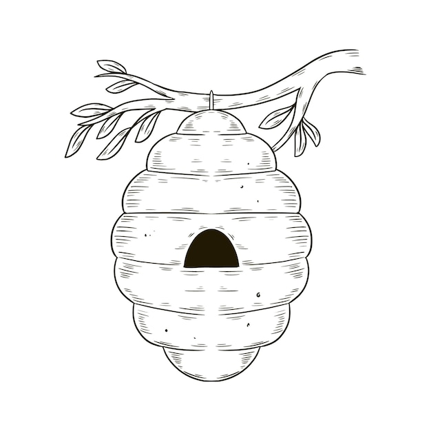 Kostenloser Vektor handgezeichnete bienenstock-zeichnungsillustration