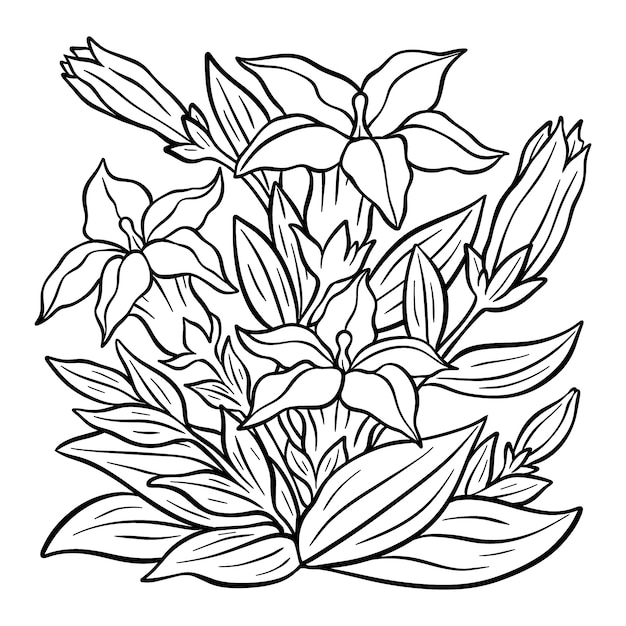 Kostenloser Vektor handgezeichnete blumenillustration