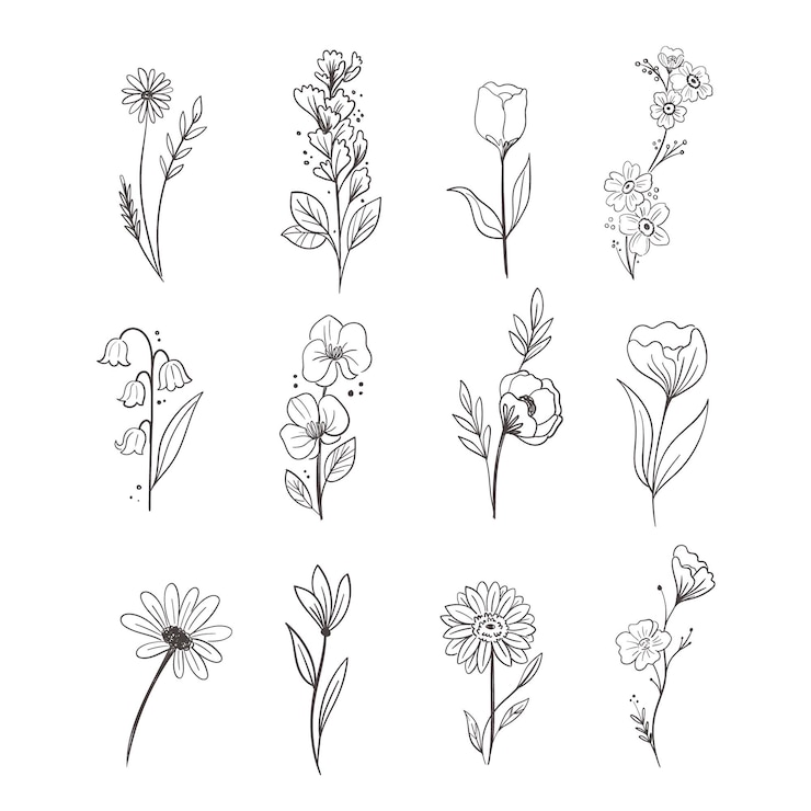 Kostenlose Vektor handgezeichnete blumenkollektion