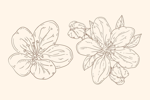 Handgezeichnete Blumenumrisse