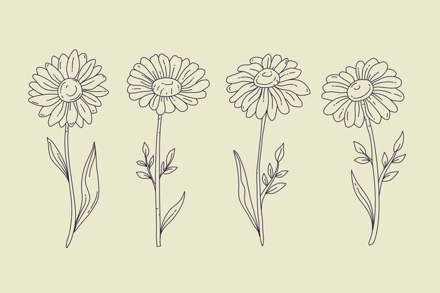 Handgezeichnete Daisy-Umrissillustration