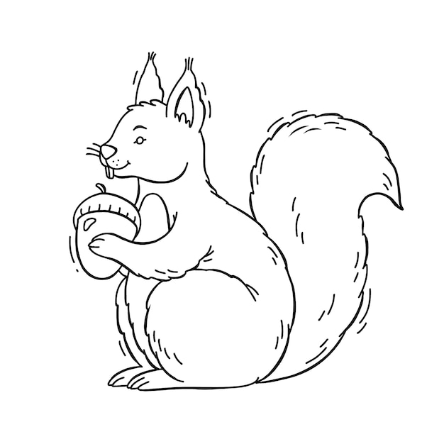 Handgezeichnete Eichhörnchen-Umrissillustration