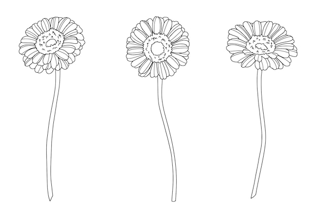 Kostenloser Vektor handgezeichnete einfache blumenumrisse