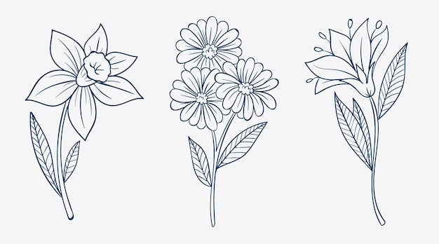 Handgezeichnete einfache Blumenumrisse
