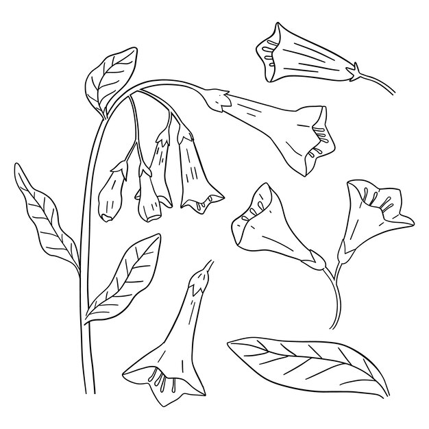 Handgezeichnete einfache Blumenumrissillustration