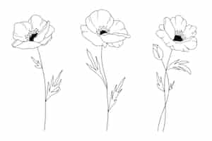 Kostenloser Vektor handgezeichnete einfache blumenumrissillustration