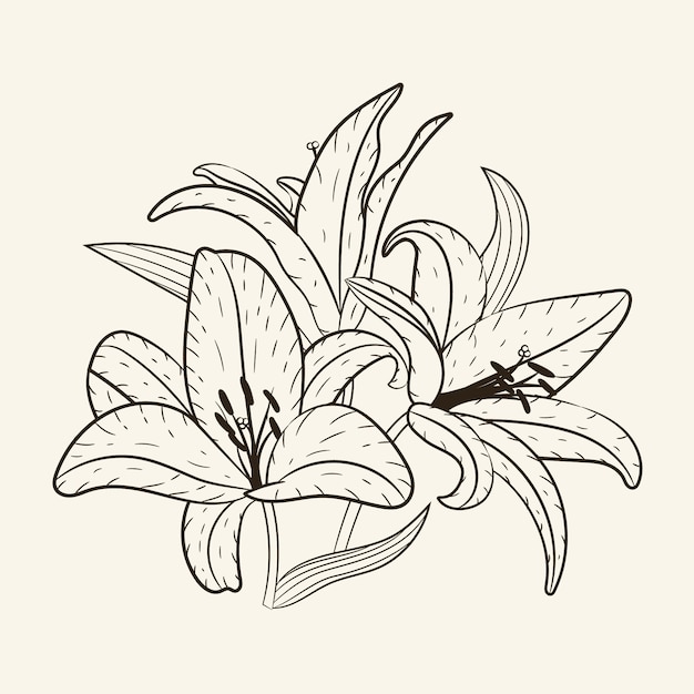 Handgezeichnete einfache Blumenumrissillustration