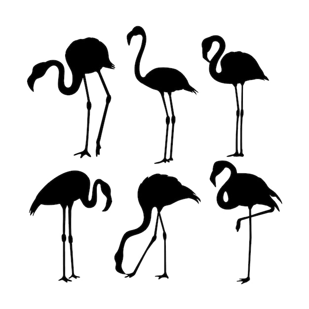 Kostenloser Vektor handgezeichnete flamingo-silhouette