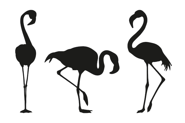 Kostenloser Vektor handgezeichnete flamingo-silhouette