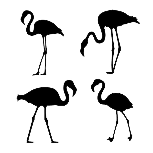 Kostenloser Vektor handgezeichnete flamingo-silhouette