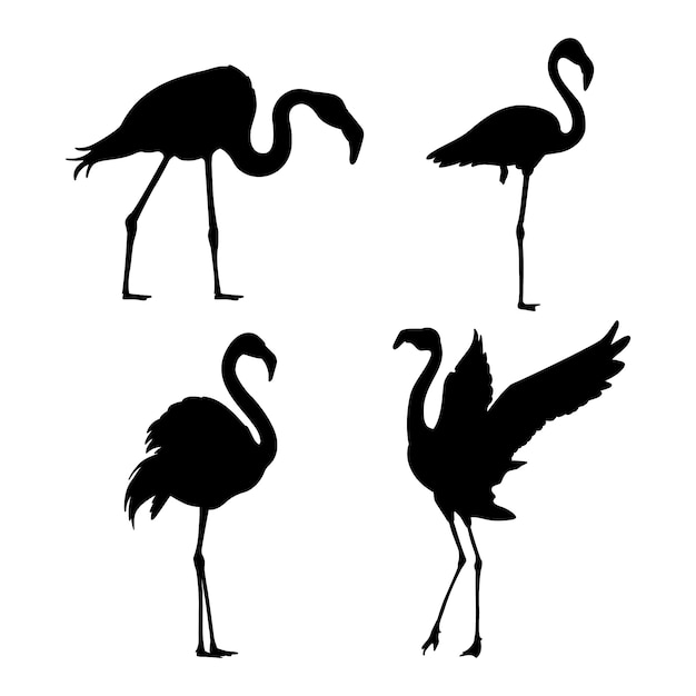 Kostenloser Vektor handgezeichnete flamingo-silhouette