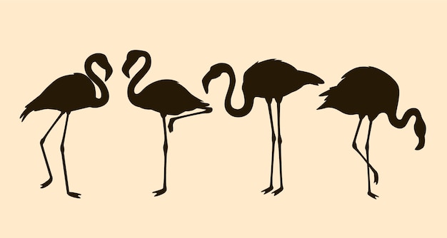 Kostenloser Vektor handgezeichnete flamingo-silhouette