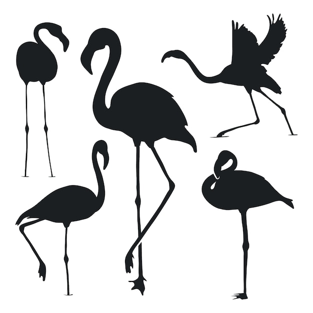 Kostenloser Vektor handgezeichnete flamingo-silhouette