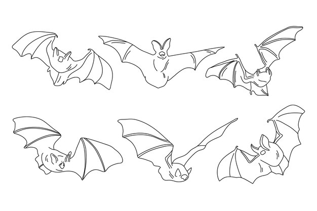 Handgezeichnete Fledermausumrissillustration