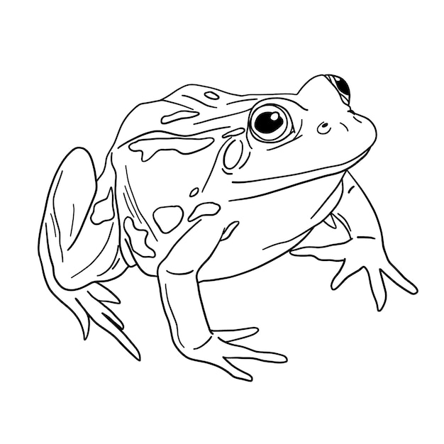 Handgezeichnete Frosch-Umrissillustration