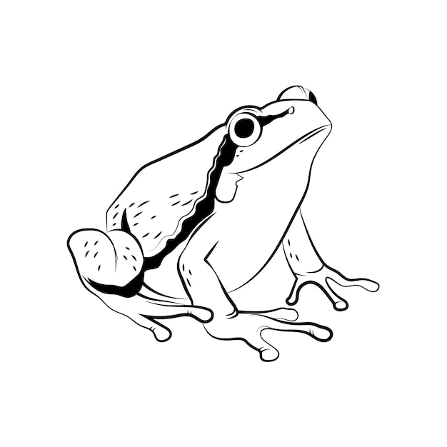 Handgezeichnete Frosch-Umrissillustration