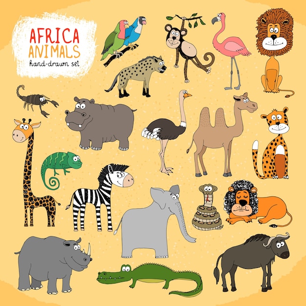 Kostenloser Vektor handgezeichnete illustrationen der tiere von afrika setzen