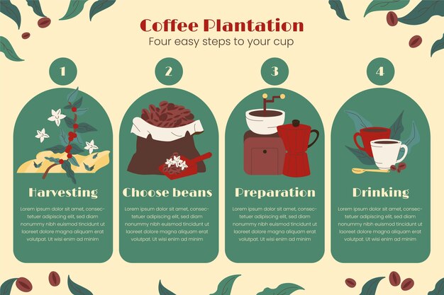Handgezeichnete Infografik zur Kaffeeplantage