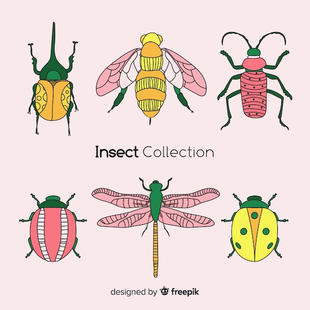 Kostenloser Vektor handgezeichnete insektensammlung