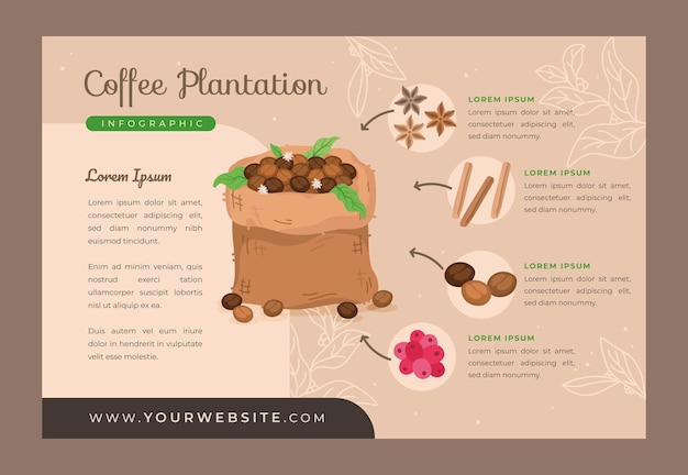 Kostenloser Vektor handgezeichnete kaffeeplantage infografik mit pflanzen