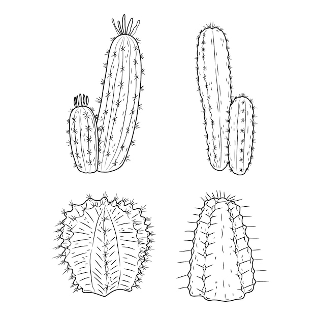 Kostenloser Vektor handgezeichnete kaktus-umrissillustration