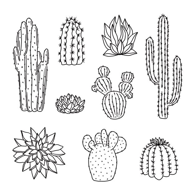 Handgezeichnete Kaktus-Umrissillustration