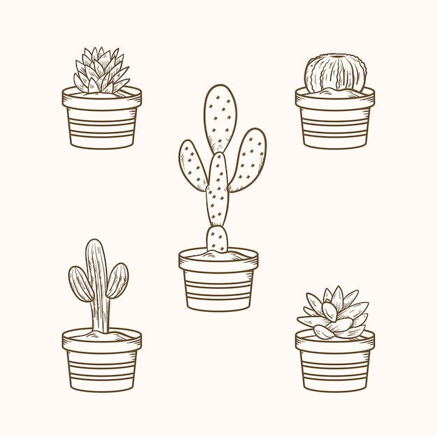Handgezeichnete Kaktus-Zeichnungsillustration