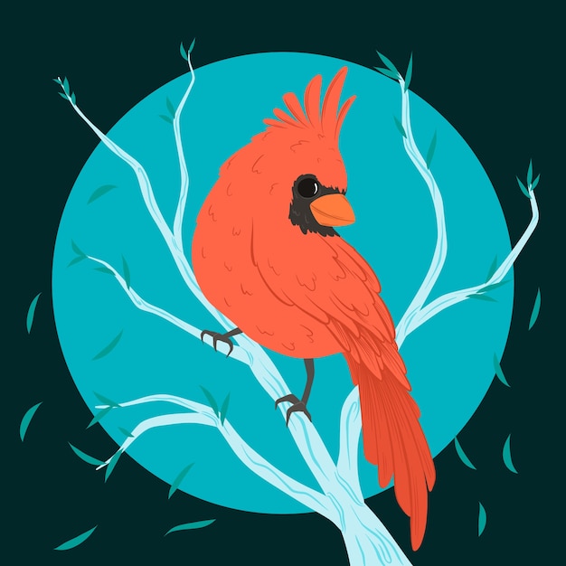 Kostenloser Vektor handgezeichnete kardinalvogelillustration