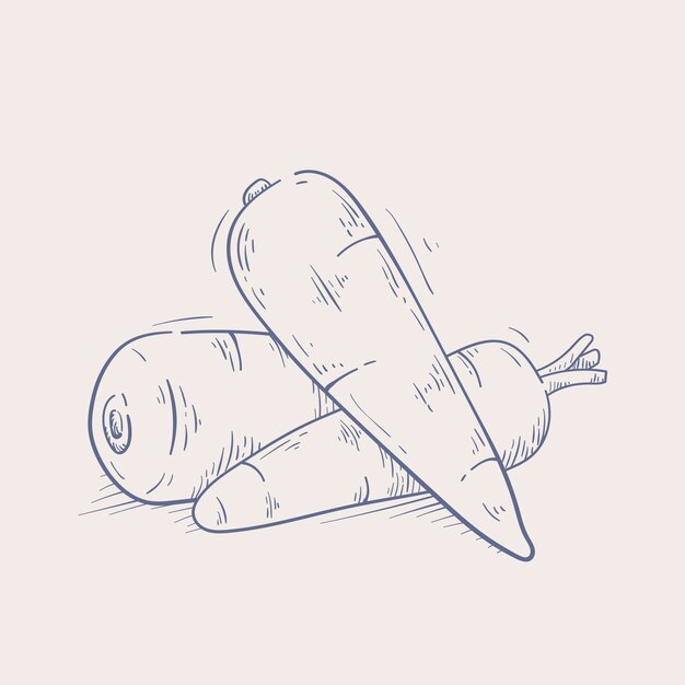 Handgezeichnete Karottenumriss-Illustration
