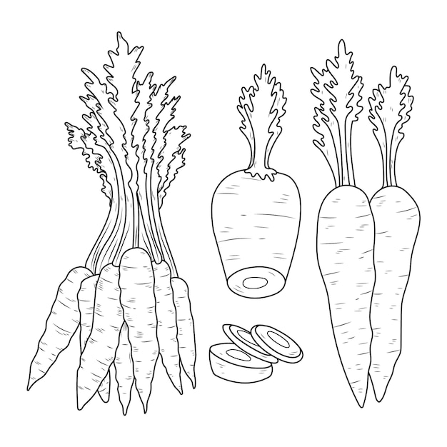 Handgezeichnete Karottenumriss-Illustration