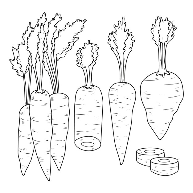 Handgezeichnete Karottenumriss-Illustration