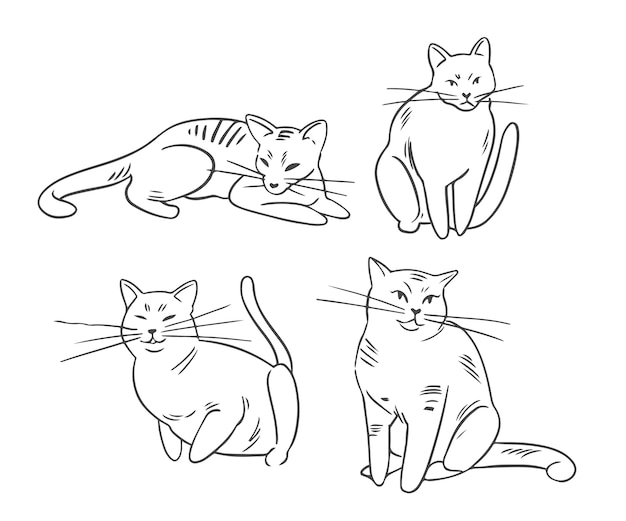 Handgezeichnete katzenumrissillustration