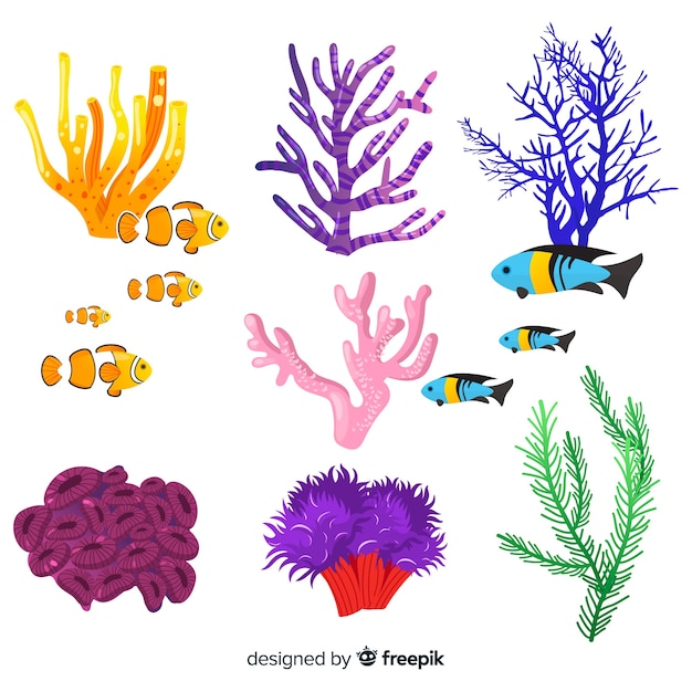 Handgezeichnete koralle mit fischsammlung