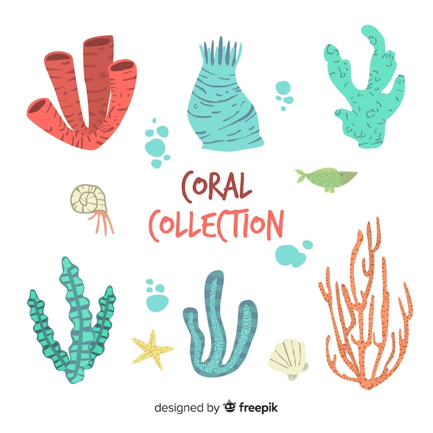 Handgezeichnete Korallensammlung