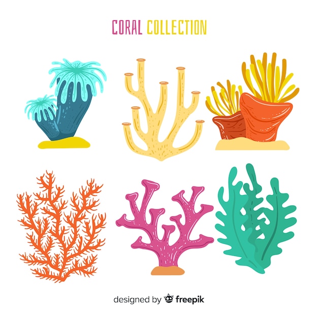 Kostenloser Vektor handgezeichnete korallensammlung