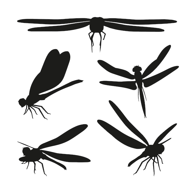 Handgezeichnete libellensilhouette