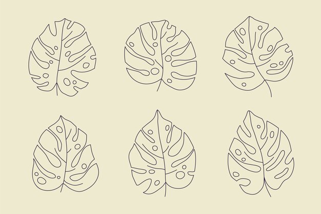 Handgezeichnete Monstera-Blatt-Umrissillustration