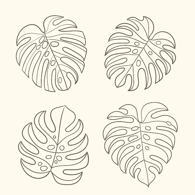 Handgezeichnete Monstera-Blatt-Umrissillustration