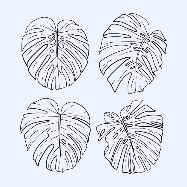 Handgezeichnete Monstera-Blatt-Umrissillustration