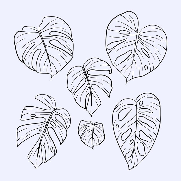 Handgezeichnete Monstera-Blatt-Umrissillustration