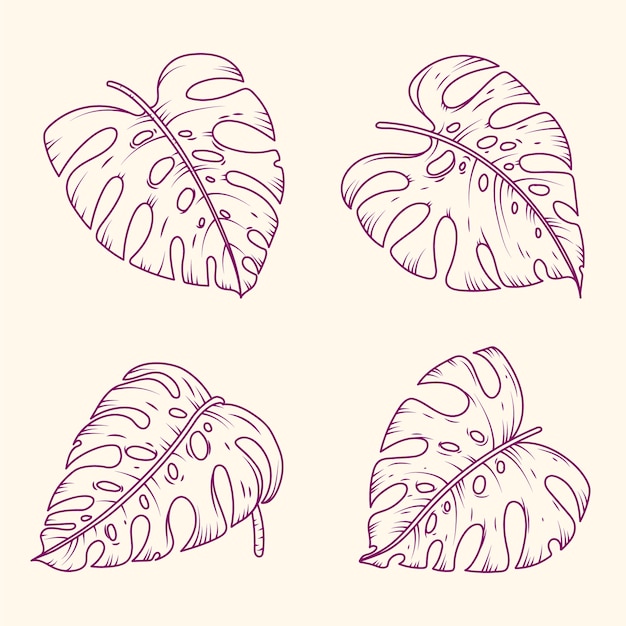 Kostenloser Vektor handgezeichnete monstera-blatt-umrissillustration