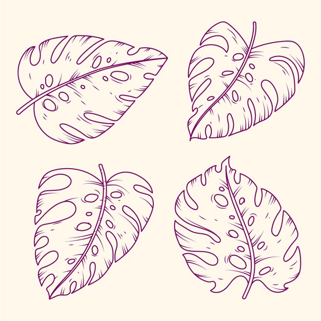 Handgezeichnete Monstera-Blatt-Umrissillustration