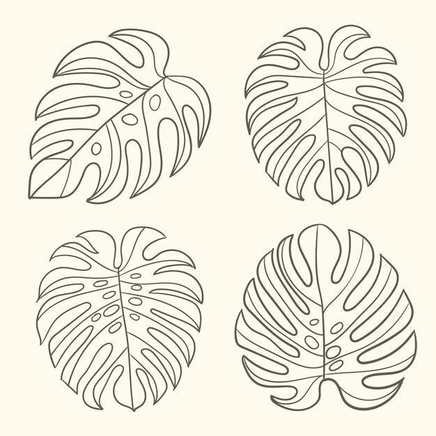 Handgezeichnete Monstera-Blattumriss-Illustration