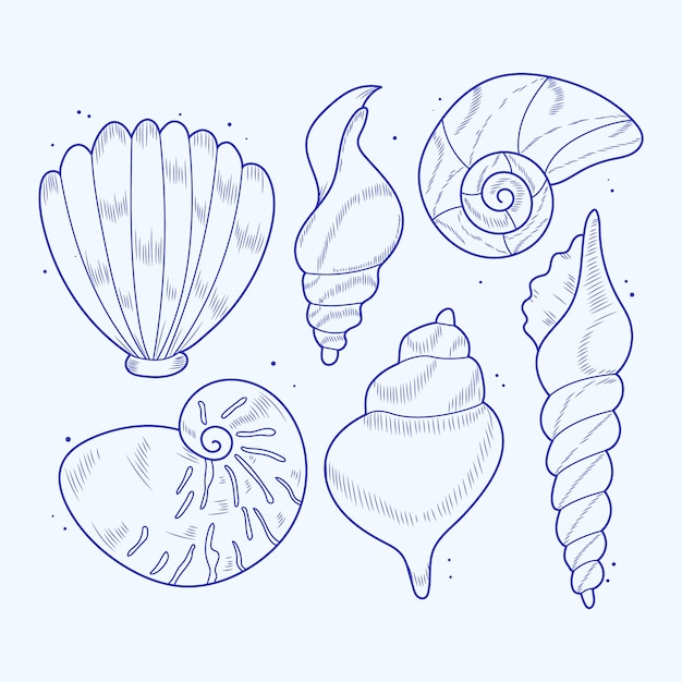 Handgezeichnete muschelumrissillustration