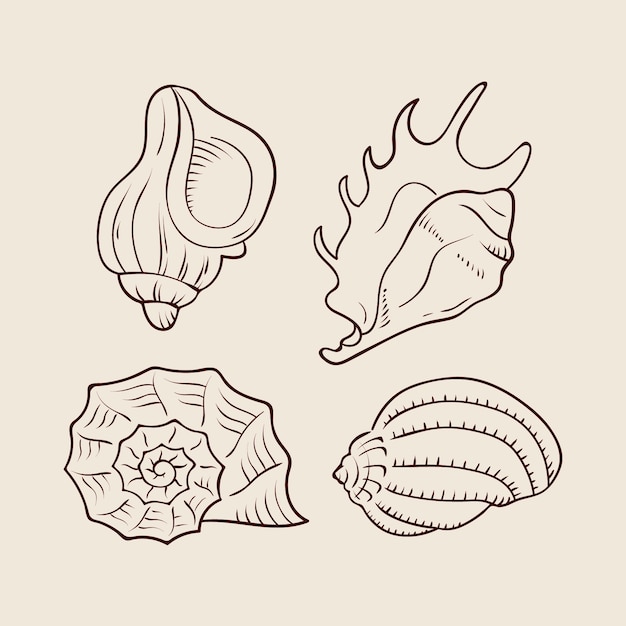 Handgezeichnete muschelumrissillustration