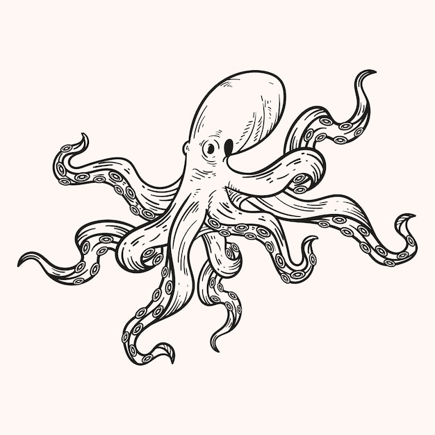 Kostenloser Vektor handgezeichnete oktopus-zeichnungsillustration