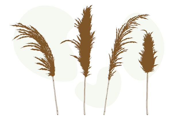 Handgezeichnete Pampas-Illustration