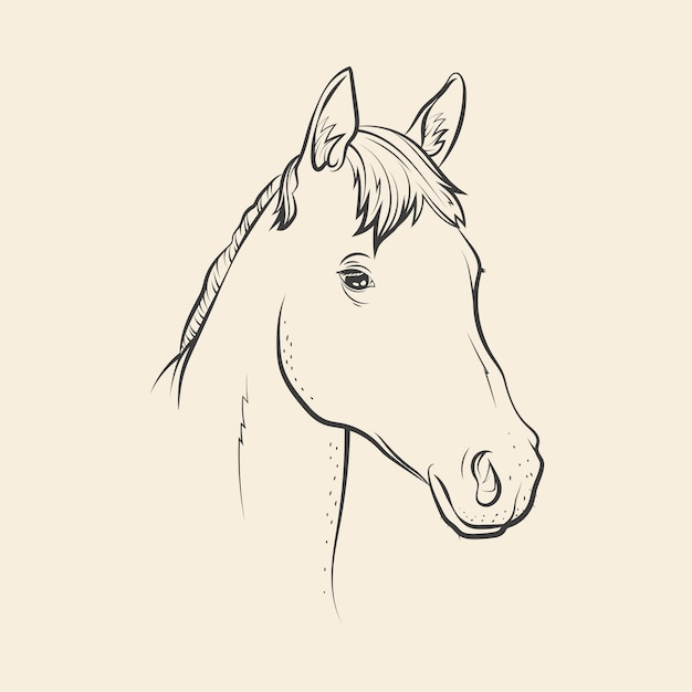 Kostenloser Vektor handgezeichnete pferdekopf-zeichnungsillustration